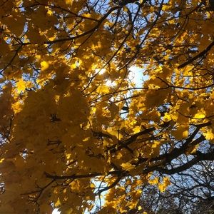 Meet your Posher, Deanna